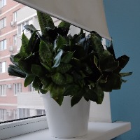 Родичев_Богдан - аватар пользователя