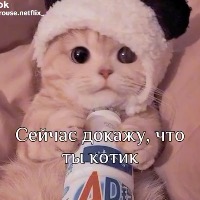 Сало_Анастасия - аватар пользователя