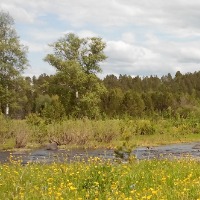 Марина_Свешникова - аватар пользователя