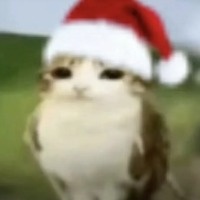 Ахметджанов_Вадим - аватар пользователя